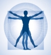 Serpentine Kinesiology & Massage Therapies Logo